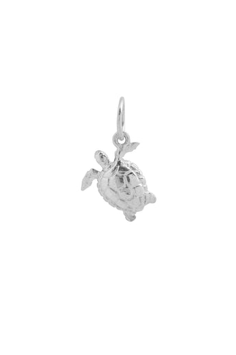 Xzota | Bedel | Little turtle| Zilver