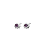 Silver purple Nellie