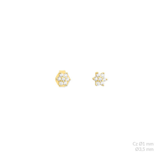 Zircon star g-p