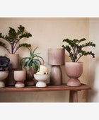 Stoneware flower pot big