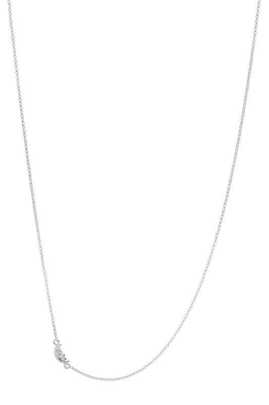 Silver necklace moon