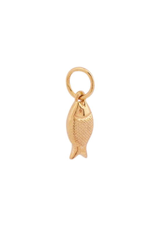 Xzota | Bedel | Fish | Goud