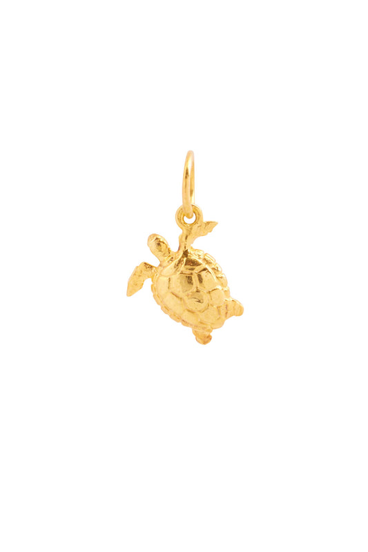 Xzota | Bedel | Little turtle| goud