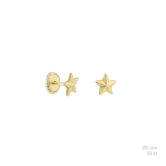 Piercing tiny star 18K, per piece