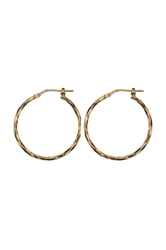Shimmering hoop g-p