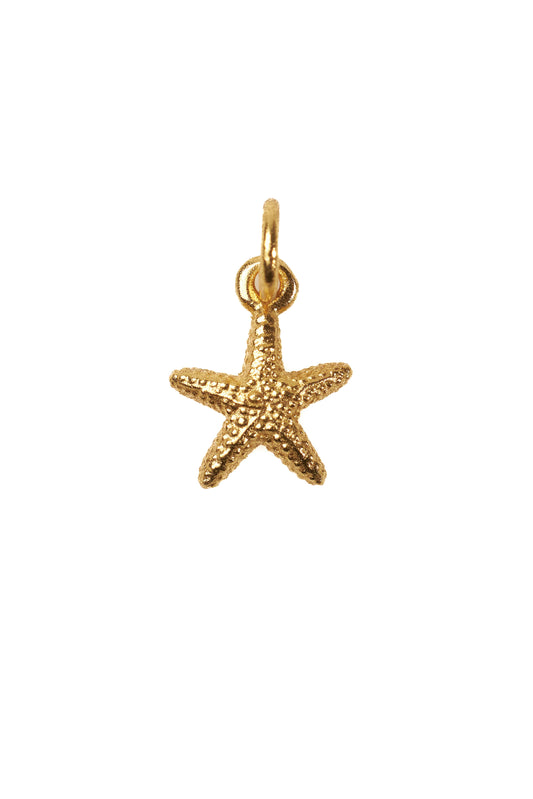 Seastar pendant g-p