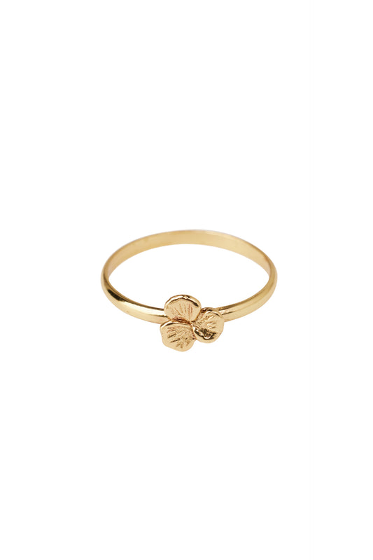 Xzota/ Oorbellen - Clover - Brass