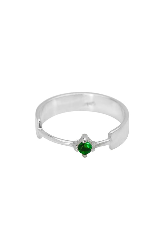 Xzota | Ringen | Turtle | Zilver